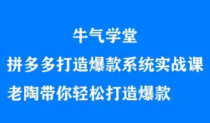 图片[1]-牛气学堂拼多多打造爆款系统实战课，老陶带你轻松打造爆款-阿戒项目库