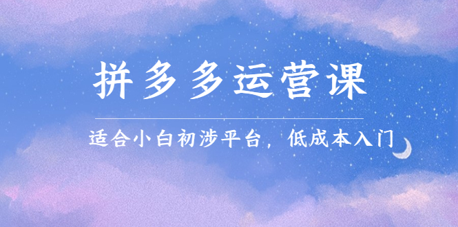 拼多多运营课，适合小白初涉平台，低成本入门-阿戒项目库