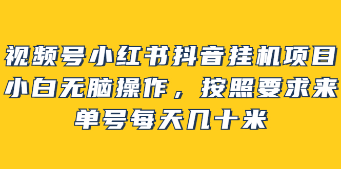 视频号小红书抖音挂机项目，小白无脑操作，按照要求来，单号每天几十米-阿戒项目库