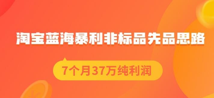 盗坤淘宝蓝海暴利非标品先品思路，7个月37万纯利润，压箱干货分享！【付费文章】-阿戒项目库