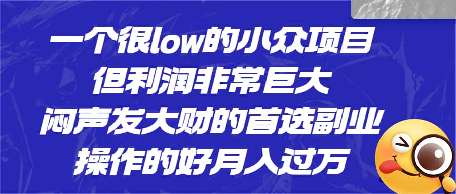一个很low的小众项目，但利润非常巨大，闷声发大财的首选副业，月入过万-阿戒项目库