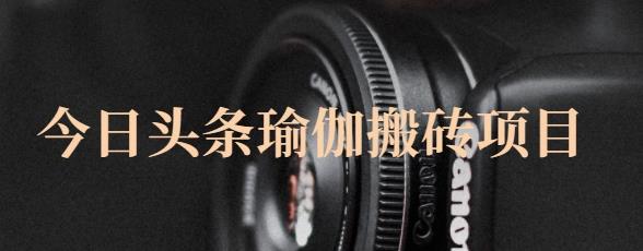 猎人社区·今日头条瑜伽搬砖项目，单号一天几十收入，可以批量操作！-阿戒项目库