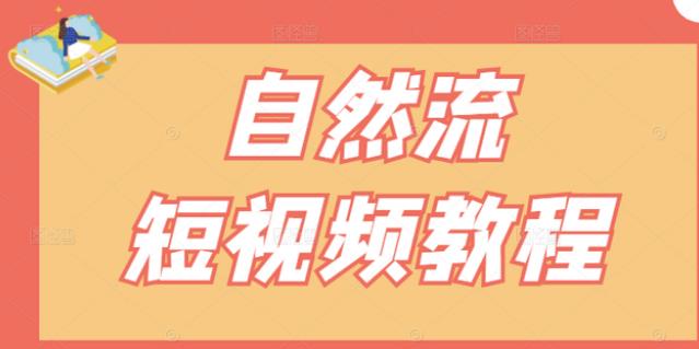 【瑶瑶短视频】自然流短视频教程，让你更快理解做自然流视频的精髓-阿戒项目库
