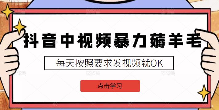 2022抖音中视频暴力薅羊毛白嫖项目：新号每天20块，老号几天几百块，可多号-阿戒项目库