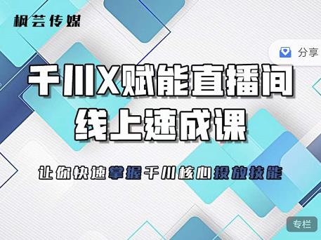 枫芸传媒-线上千川提升课，提升千川认知，提升千川投放效果-阿戒项目库