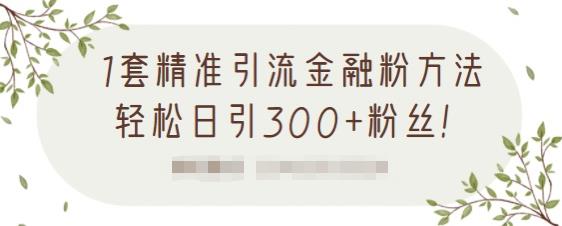 1套精准引流金融粉方法，轻松日引300 粉丝【视频课程】-阿戒项目库