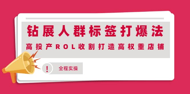 钻展人群标签打爆法，高投产ROL收割打造高权重店铺(全程实操)-阿戒项目库