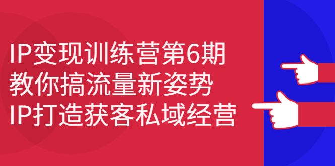 IP变现训练营第6期：教你搞流量新姿势，IP打造获客私域经营-阿戒项目库
