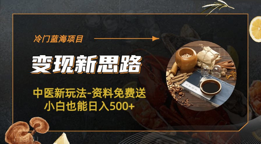 冷门蓝海项目-中医新玩法-冷门蓝海项目-中医新玩法-资料免费送小白也能日入500 500-阿戒项目库