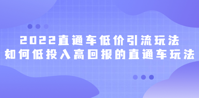 2022直通车低价引流玩法，教大家如何低投入高回报的直通车玩法-阿戒项目库