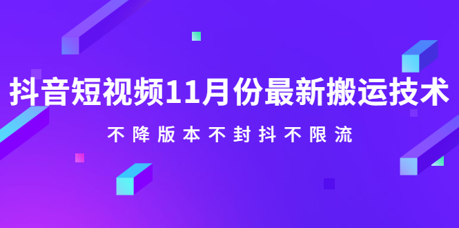 抖音短视频11月份最新搬运技术，不降版本不封抖不限流！【视频课程】-阿戒项目库