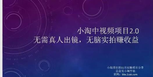 小淘项目组网赚永久会员，绝对是具有实操价值的，适合有项目做需要流程【持续更新】-阿戒项目库