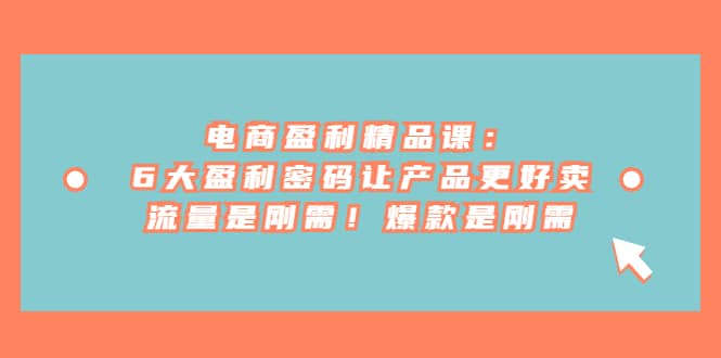 电商 盈利精品课：6大盈利 密码让产品更好卖，流量是刚需！爆款是刚需-阿戒项目库