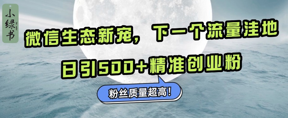 微信生态新宠小绿书：下一个流量洼地，粉丝质量超高，日引500+精准创业粉，-阿戒项目库