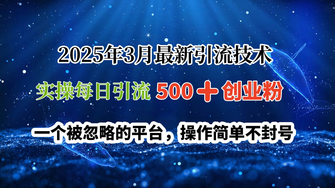 2025年3月最新引流技术，实操每日引流500➕创业粉，一个被忽略的平台，操作简单不封号-阿戒项目库