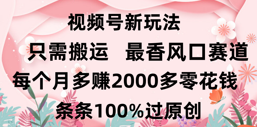 日入2000+，条条100%过原创，视频号最香风口赛道，小白轻松上手-阿戒项目库