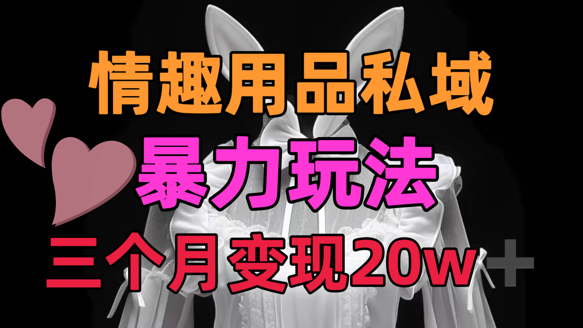 情趣用品私域，25年最新暴力玩法，三个月变现20w➕-阿戒项目库
