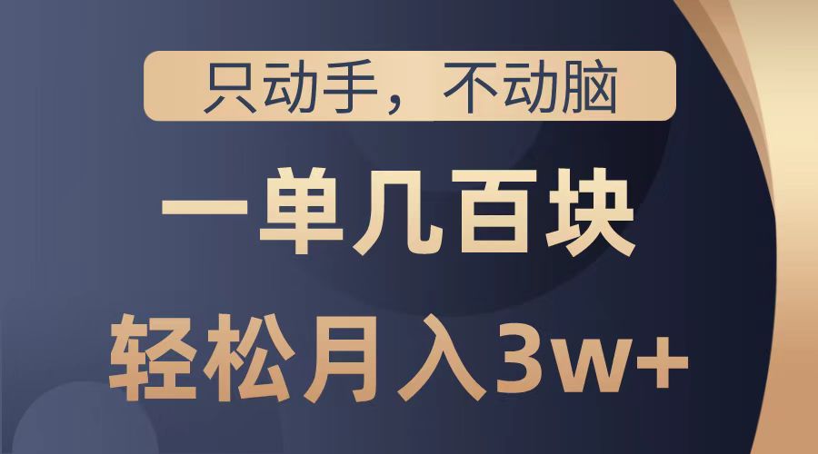 只动手不动脑，一单几百块，轻松月入2w+，看完就能直接操作，详细教程-阿戒项目库