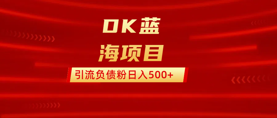 DK蓝海项目  通过，抖音，快手，小红书，引流负债粉日入500+-阿戒项目库