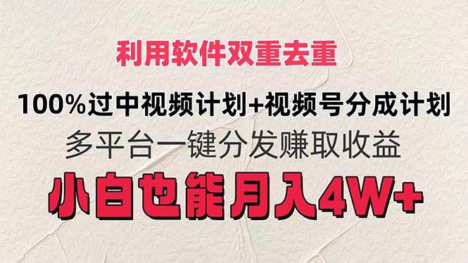 利用软件双重去重，100%过中视频+视频号分成计划小白也可以月入4W+-阿戒项目库