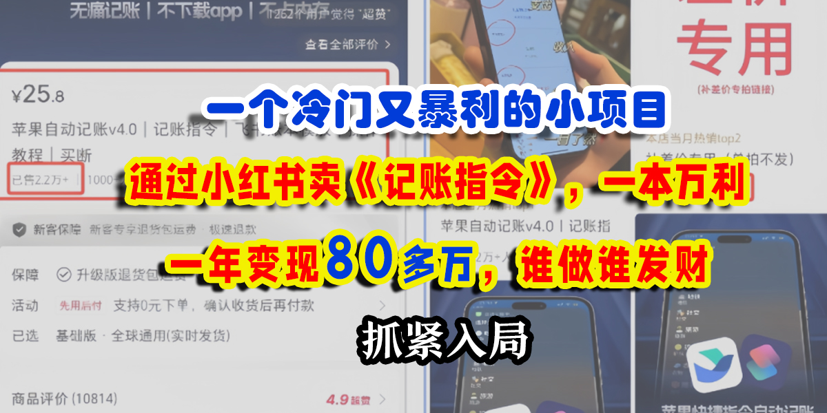 一个冷门又暴利的小项目，通过小红书卖《记账指令》，一本万利，一年变现80多万，谁做谁发财-阿戒项目库