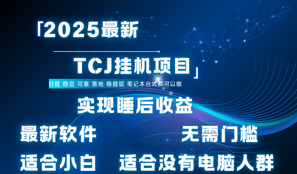最新海外TCJ无门槛美金项目可矩阵放大操作 单日可达400+日提-阿戒项目库