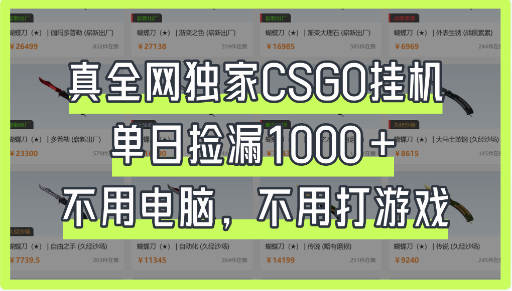 真全网独家CSGO挂机，单日捡漏1000+-阿戒项目库