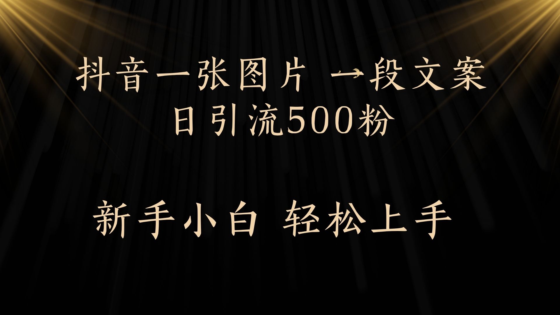 每天2分钟，抖音一张图片 一段文案日引流500粉-阿戒项目库