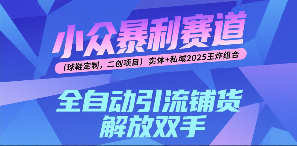 楠—小众暴利赛道（球鞋定制，二创项目）实体+私域2025王炸组合-阿戒项目库