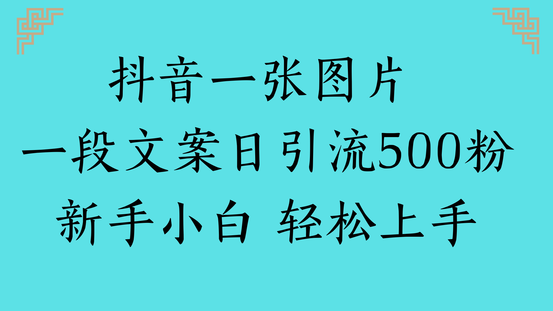 抖音一张图片 一段文案日引流500粉新手小白 轻松上手-阿戒项目库