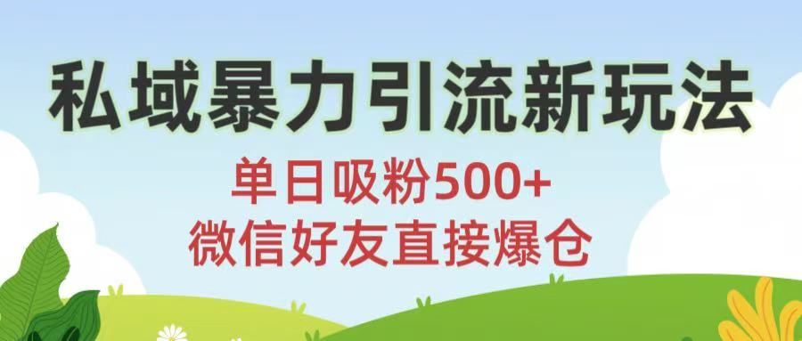 私域暴力引流新玩法!单日吸粉500+，微信好友直接爆仓-阿戒项目库