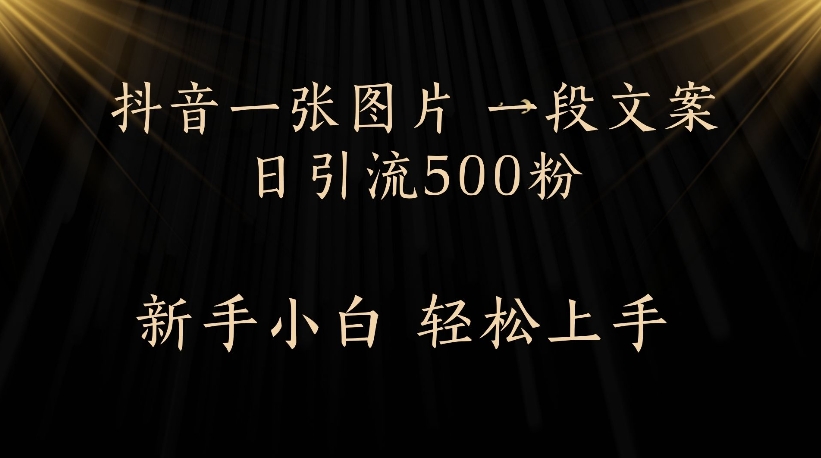 抖音一张图片，一段文案日引流500粉，新手小白 轻松上手-阿戒项目库