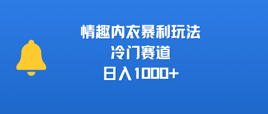 情趣内衣暴利玩法，冷门赛道，日入1000+-阿戒项目库