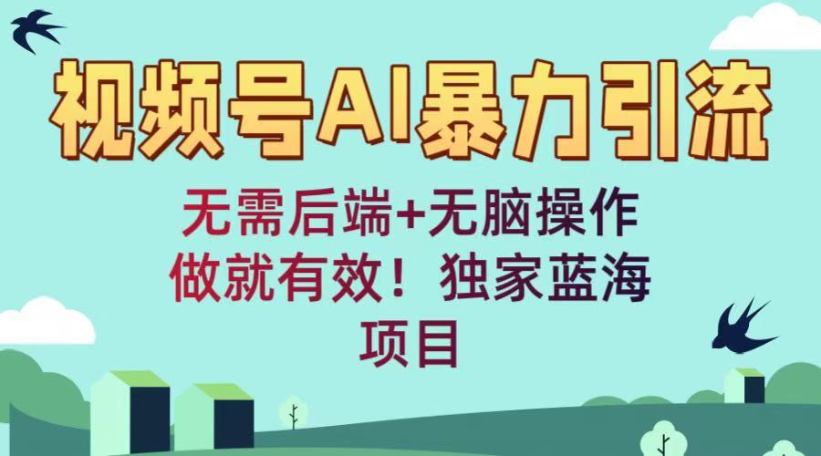 视频号AI暴力引流：无需后端+无脑操作，做就有效！独家蓝海项目-阿戒项目库