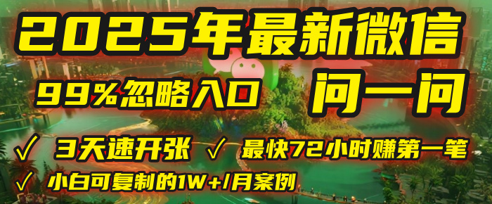 2025年，被99%的人忽视的微信问一问：每天写300字，最快3天就能“开张”赚到第一笔钱，有人已稳定月入1W+！-阿戒项目库