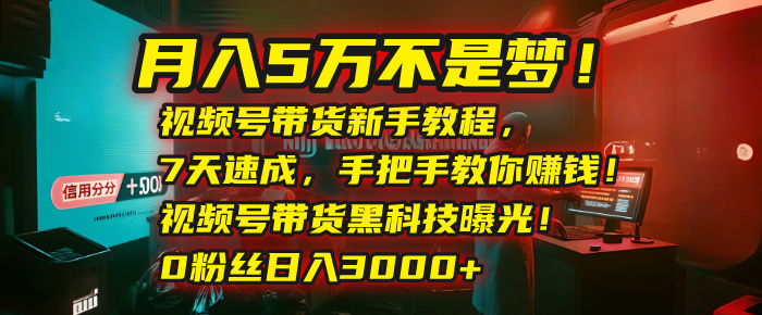 月入5万不是梦！视频号带货新手教程，7天速成，手把手教你赚钱！视频号带货黑科技曝光！0粉丝日入3000+-阿戒项目库