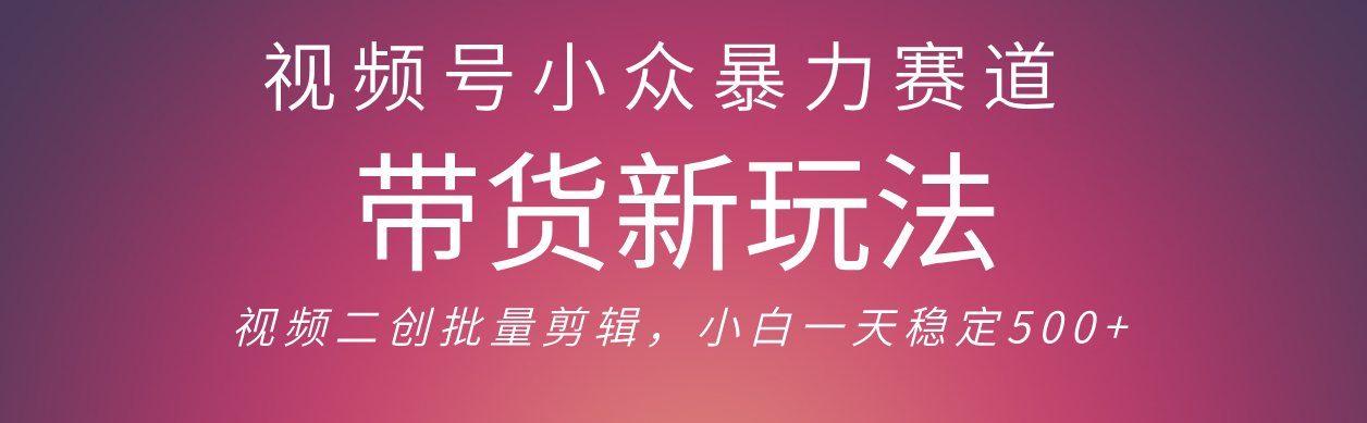 视频号小众暴力赛道，最新带货玩法 小白也能轻松日入500+ 保姆及教程-阿戒项目库
