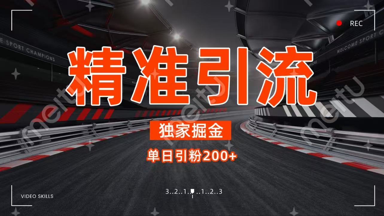 独家野路子精准引流 每日200+-阿戒项目库