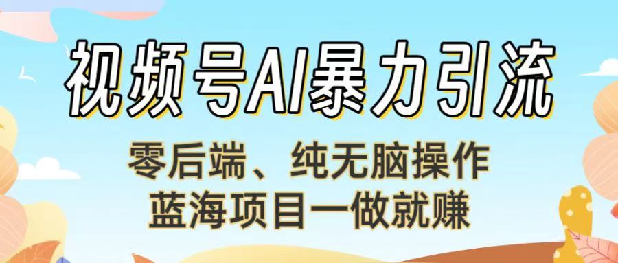 视频号AI暴力引流：零后端、纯无脑操作，蓝海项目一做就赚！【下面那个链接失效了】-阿戒项目库
