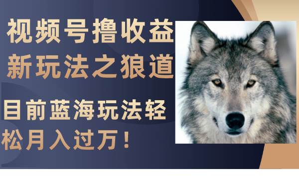 视频号撸收益新玩法之狼道，目前蓝海玩法轻松月入过万！-阿戒项目库