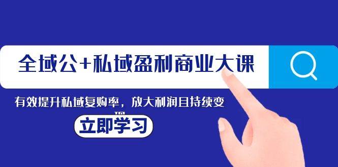全域公 私域盈利商业大课，有效提升私域复购率，放大利润且持续变现-阿戒项目库