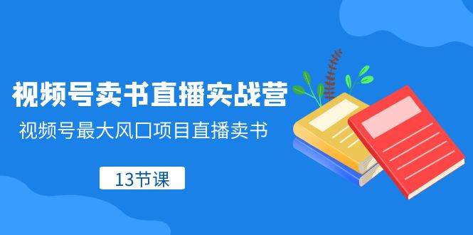 视频号-卖书直播实战营，视频号最大风囗项目直播卖书（13节课）-阿戒项目库