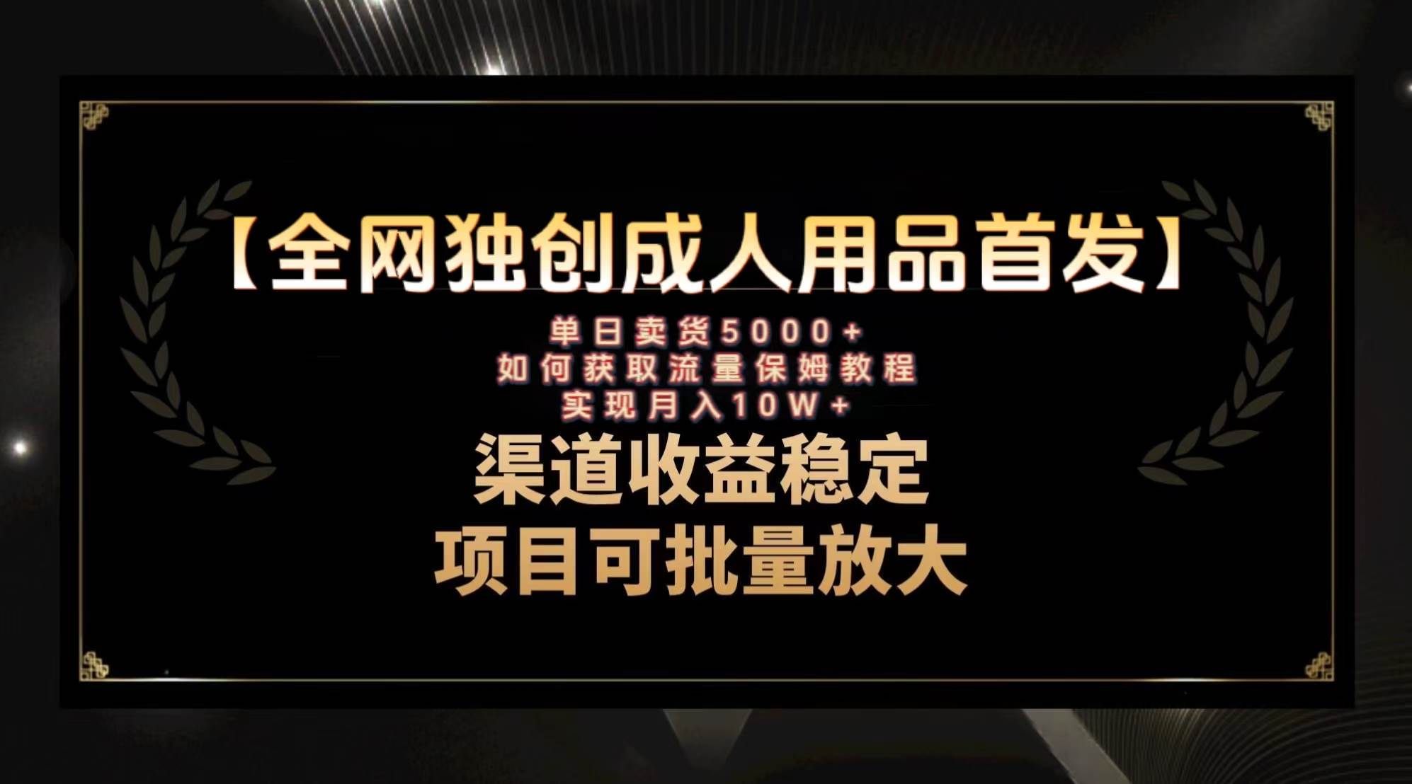 最新全网独创首发，成人用品赛道引流获客，月入10w保姆级教程-阿戒项目库