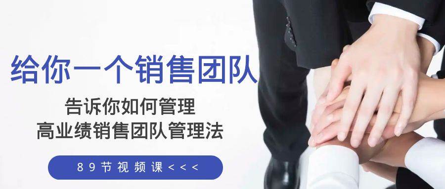 给你一个销售团队，告诉你如何管理，高业绩销售团队管理法（89节课）-阿戒项目库