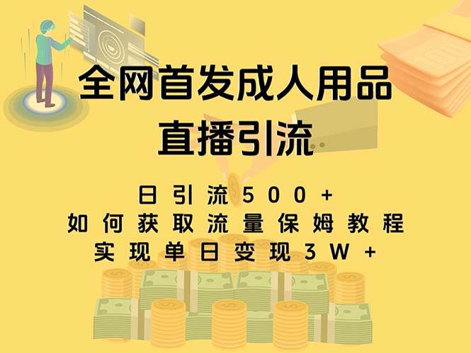 最新全网独创首发，成人用品直播引流获客暴力玩法，单日变现3w保姆级教程-阿戒项目库