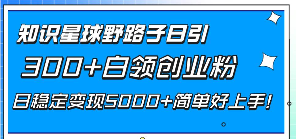 知识星球野路子日引300 白领创业粉，日稳定变现5000 简单好上手！-阿戒项目库