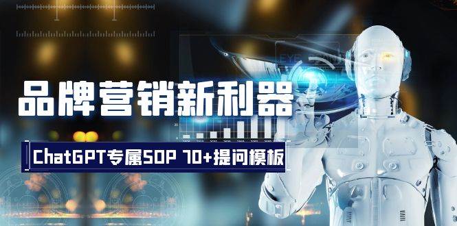 品牌营销新利器：ChatGPT专属SOP，70 提问模板-阿戒项目库