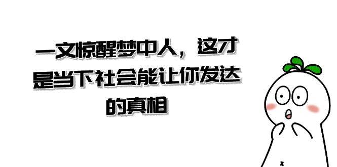 某公众号付费文章《一文 惊醒梦中人，这才是当下社会能让你发达的真相》-阿戒项目库