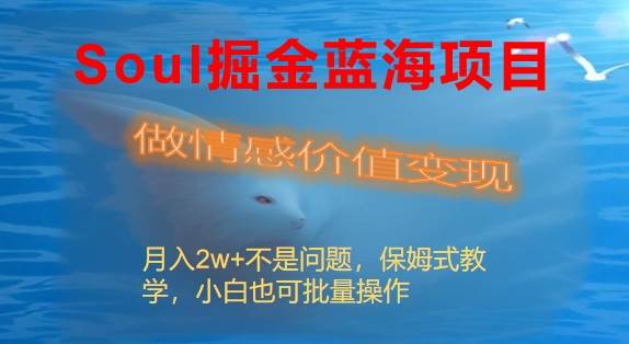 Soul掘金蓝海项目细分赛道，做情感价值变现，月入2w 不是问题-阿戒项目库