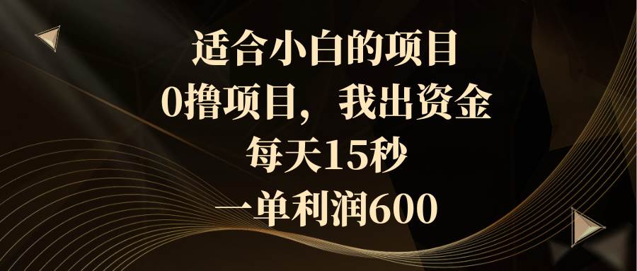 适合小白的项目，0撸项目，我出资金，每天15秒，一单利润600-阿戒项目库